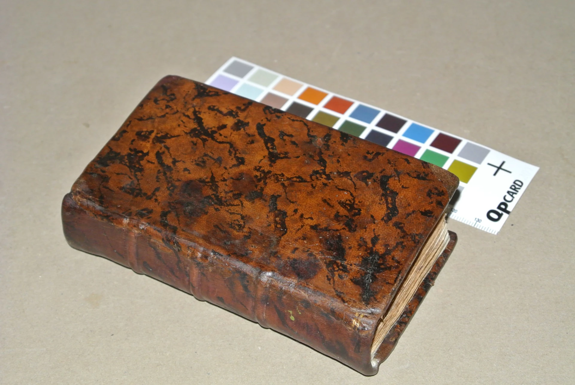 Volume a stampa del XVIII secolo affetto da attacco fungino dopo il restauro