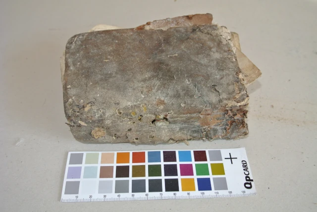 Volume a stampa del XVIII secolo affetto da attacco fungino prima del restauro