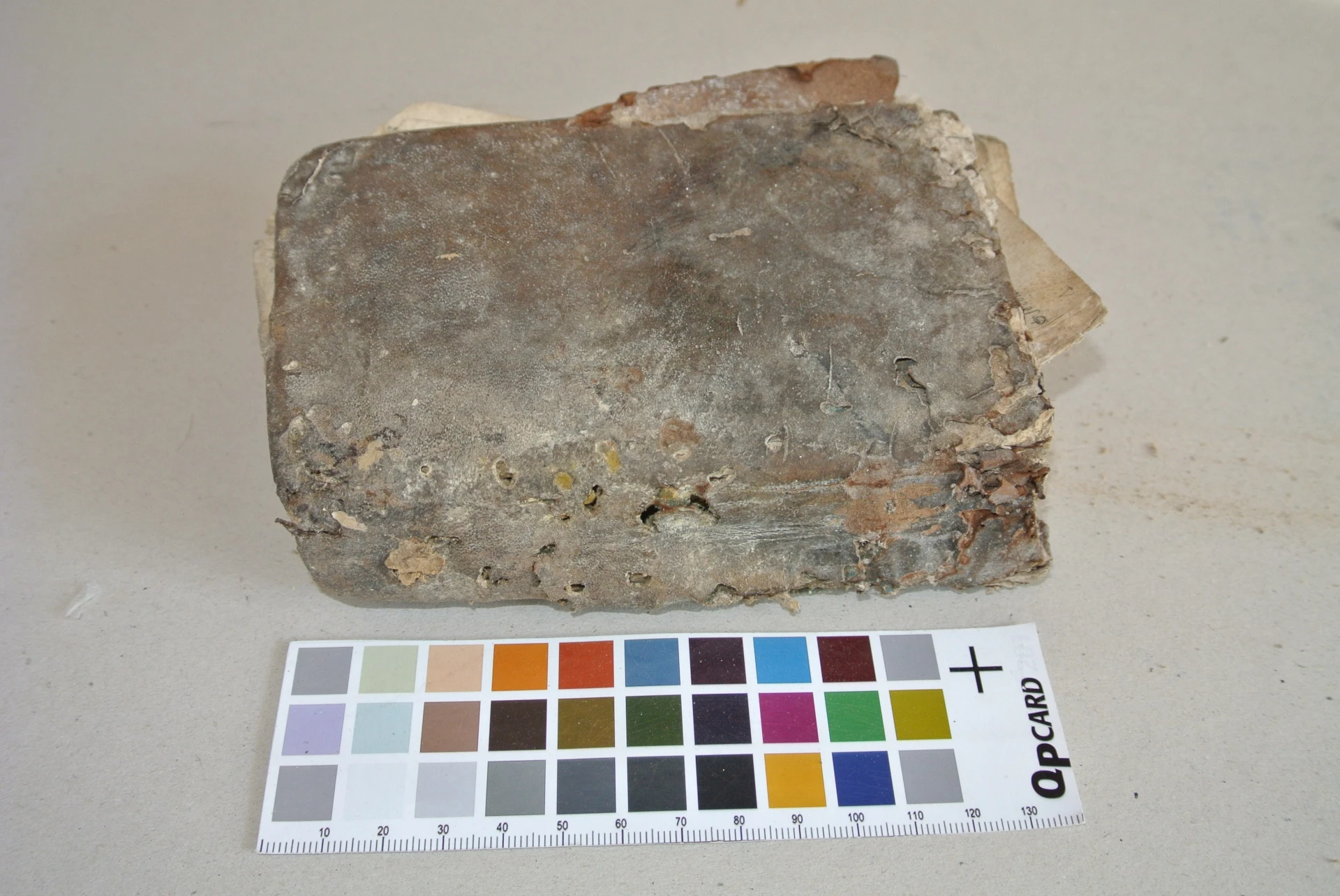 Volume a stampa del XVIII secolo affetto da attacco fungino prima del restauro