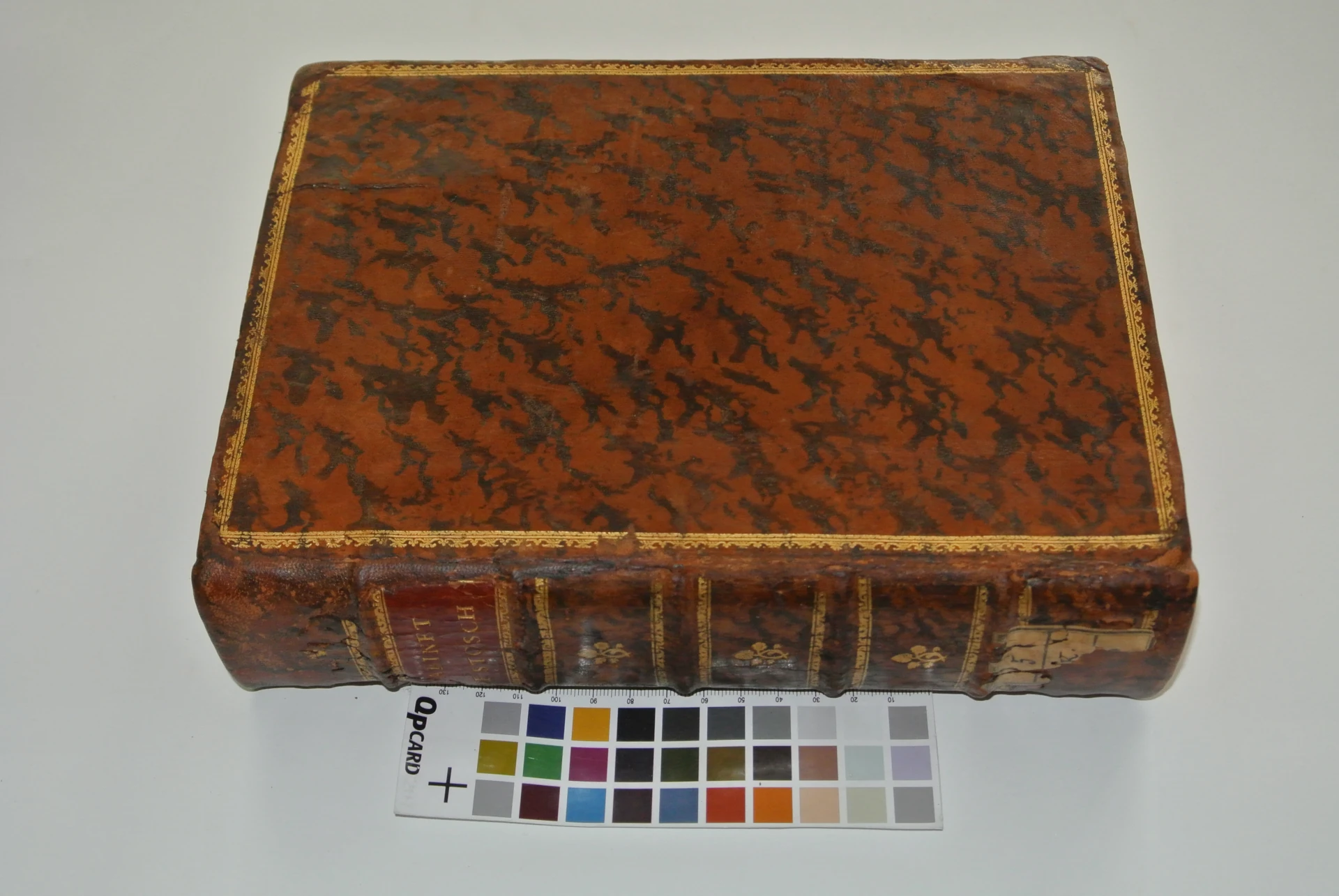 Volume infestato da tarli e con lacerazioni su angoli e dorso dopo il restauro