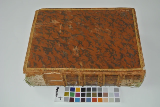 Volume infestato da tarli e lacerazioni su angoli e dorso prima del restauro