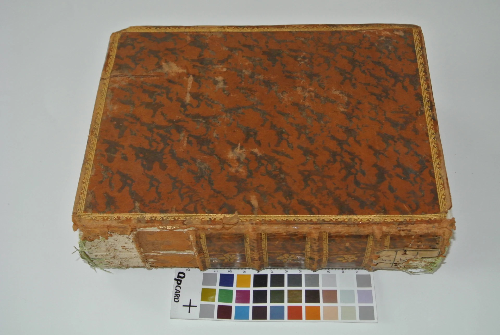 Volume infestato da tarli e con lacerazioni su angoli e dorso prima del restauro